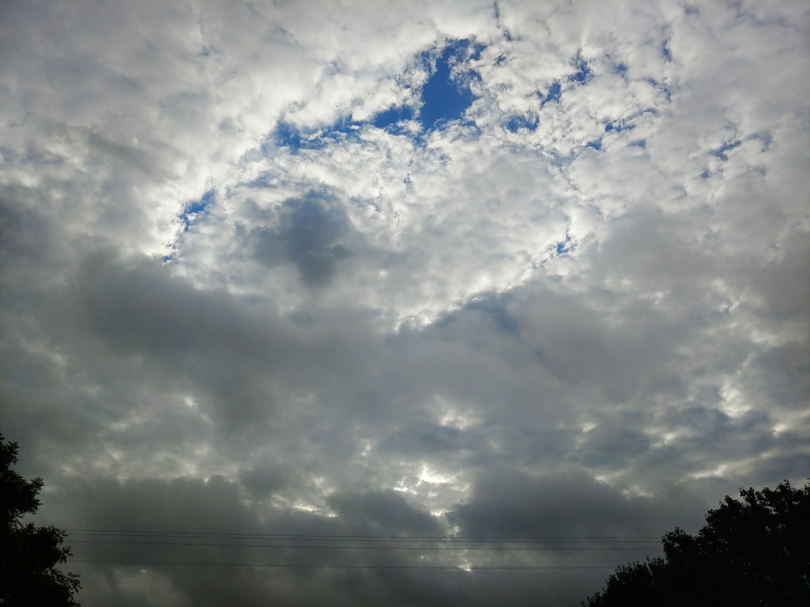 2020 June 16 Taco Tuesday?