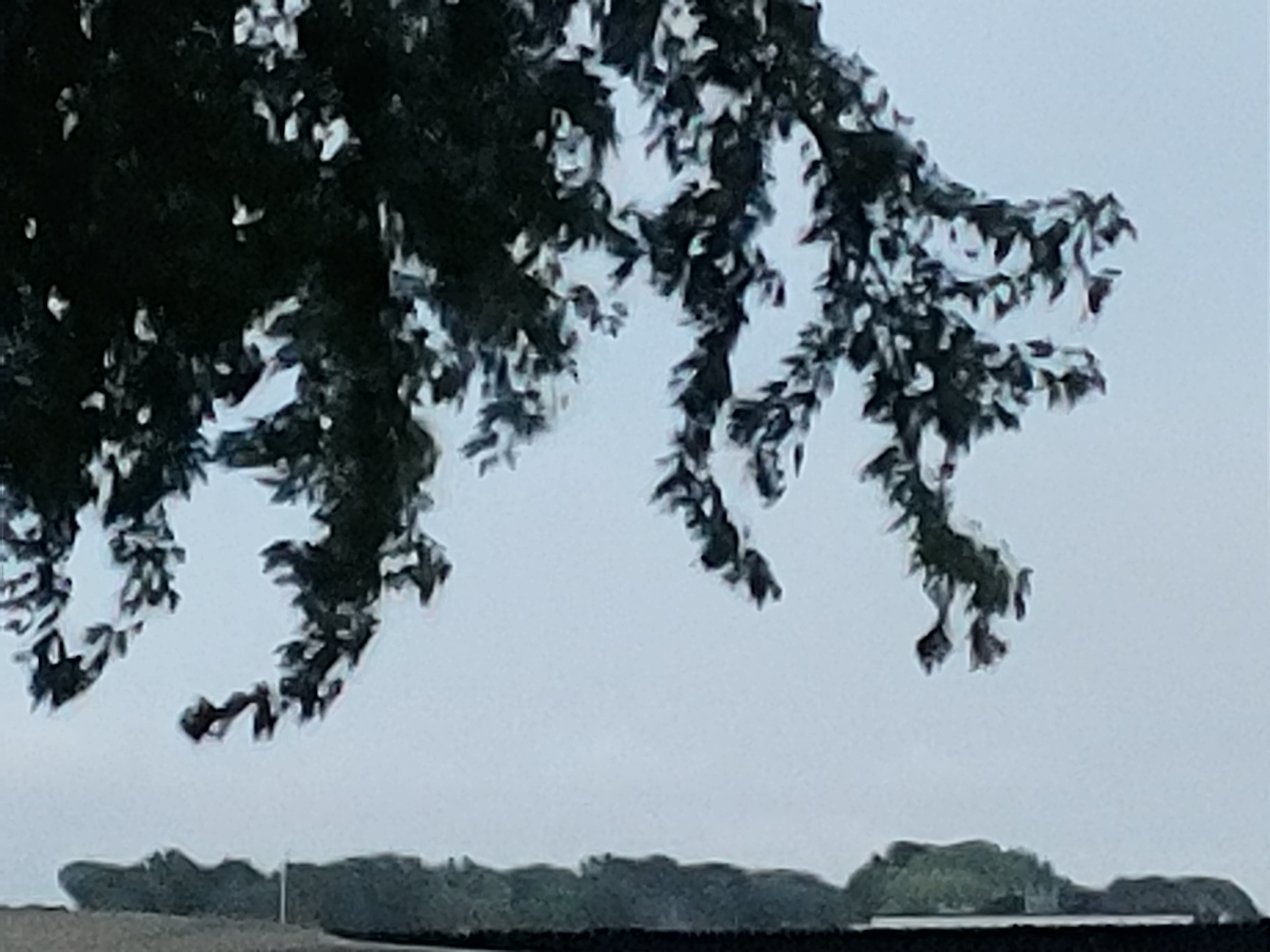 2020 September 06 In Iowa